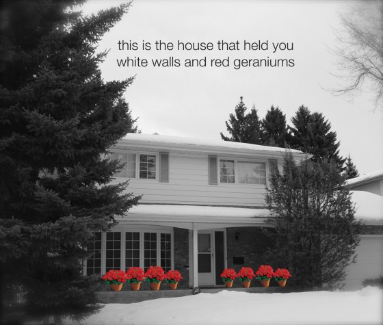 the house that held you